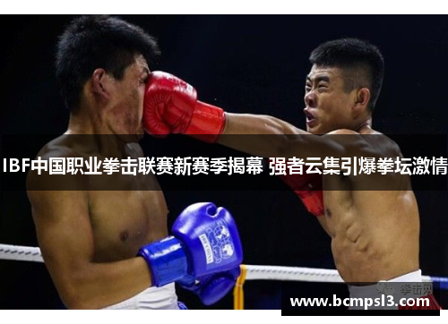 IBF中国职业拳击联赛新赛季揭幕 强者云集引爆拳坛激情
