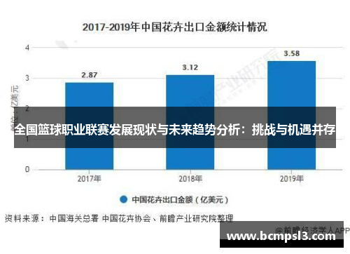 全国篮球职业联赛发展现状与未来趋势分析：挑战与机遇并存